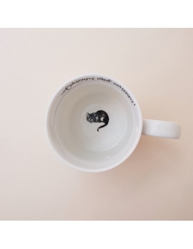 TAZA ALICIA EN EL PAÍS DE LAS MARAVILLAS