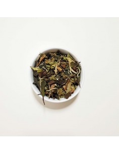 CHINA FUDING PAI MU TAN