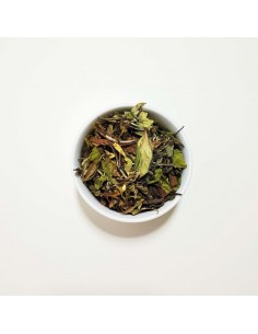 VAINILLA Y BERGAMOTA