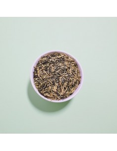 JAPAN KAGOSHIMA KUKICHA BIO